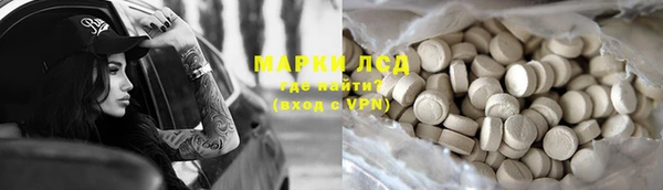 ПСИЛОЦИБИНОВЫЕ ГРИБЫ Кукмор