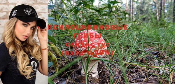ПСИЛОЦИБИНОВЫЕ ГРИБЫ Кукмор