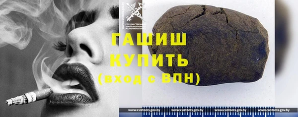 гашик Корсаков